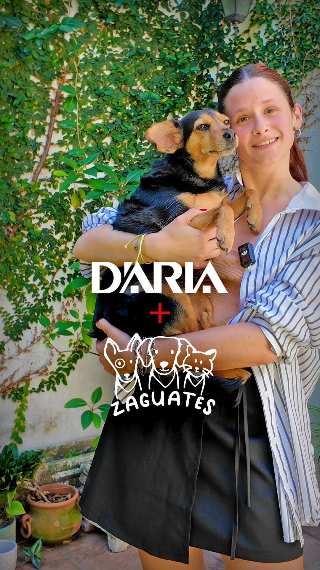 D'Aria + Zaguates: Ellos también buscan hogar