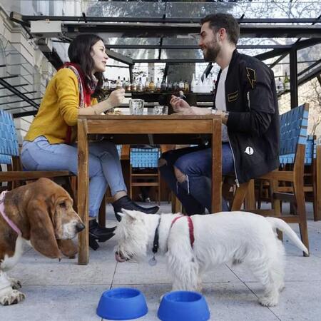 Estos son los barrios en los que vivir con una mascota es más fácil: plazas, caniles, bares y espacios pet friendly