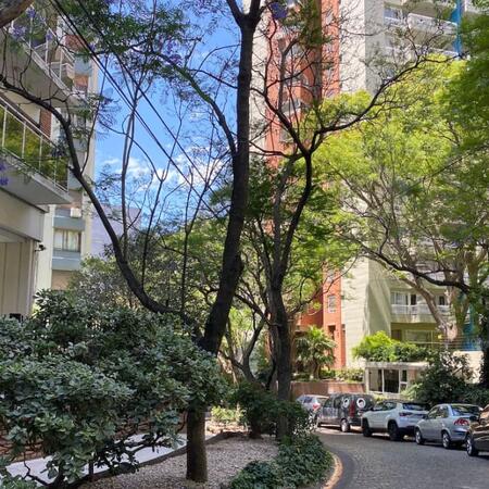 La isla de Olivos: los precios de los departamentos top en una zona con casas, árboles y a 10 minutos de la capital